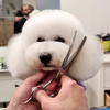 Kép 7/7 - BERRY – Hajlított, egyoldalas ritkító kutyakozmetikai olló, 56T, 7″ (17,5 cm) – Razorline