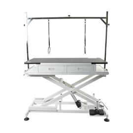 FT-818 Premium Electric Lifting Dog Grooming Table with Drawers – Shernbao