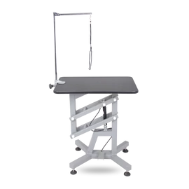 FT-832 Professional Air-Lift Dog Grooming Table – Shernbao